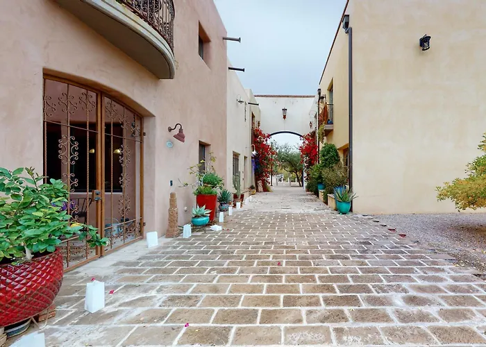 Menlo Magic Tucson